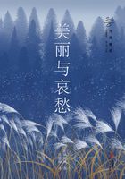 美丽与哀愁在线阅读