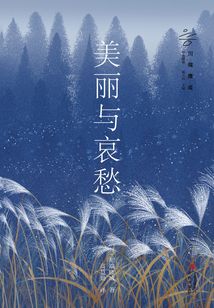 美麗與哀愁
