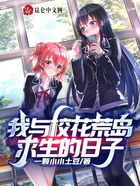 我与校花荒岛求生的日子在线阅读