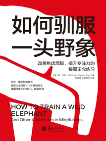 如何馴服一頭野象:改善焦慮煩躁、提升專注力的每周正念練習
