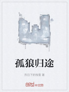 孤狼歸途在線閱讀