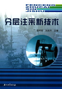 分層注采新技術
