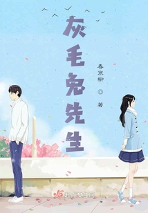 我的灰毛兔先生