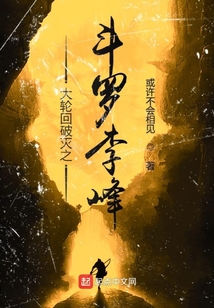 大輪回破滅之斗羅李峰