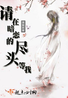 請?jiān)诎祽俚谋M頭等我在線閱讀
