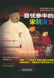 喜憂參半的宋朝演義