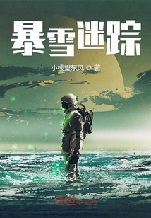 暴雪迷蹤