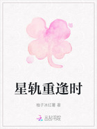 星轨重逢时在线阅读