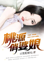 桃源俏婆娘在线阅读