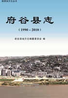 府谷县志（1990～2010）