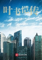 叶书恺传在线阅读