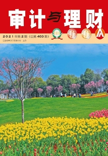 審計與理財（2021年第2期）