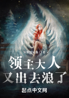 领主大人又出去浪了在线阅读