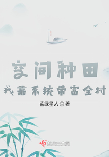 空间种田：我靠系统带富全村！在线阅读
