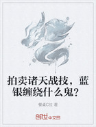 拍卖诸天战技,蓝银缠绕什么鬼?在线阅读