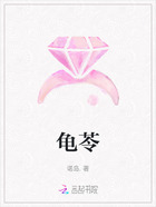 龟苓在线阅读