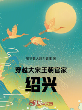 穿越大宋王朝官家，绍兴在线阅读
