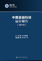 中国金融科技运行报告（2018）