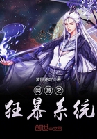 网游之狂暴系统