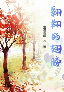 翱翔的翅膀