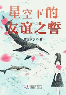 星空下的友誼之誓