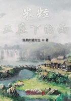 米粒正在下的雨在線閱讀