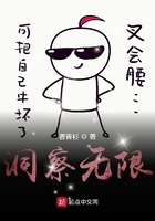 洞察记事录