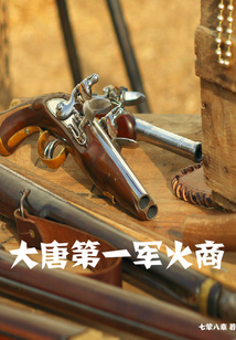 大唐第一军火商 cover