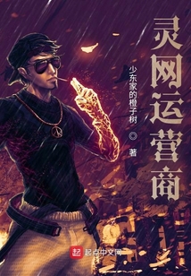 靈網(wǎng)運營商