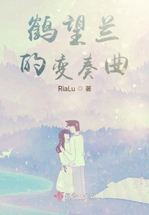 鶴望蘭的變奏曲