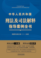 中华人民共和国刑法及司法解释指导案例全书（第三版）在线阅读