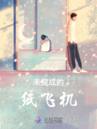 未完成的纸飞机在线阅读