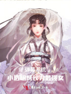 弹幕系统，小透明成长为最强女在线阅读