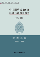 中国民族地区经济社会调查报告·鄯善县卷在线阅读