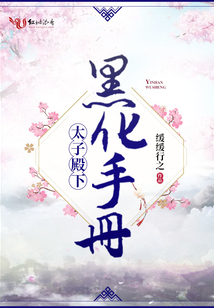 太子殿下黑化手冊