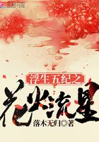 浮生五纪之花火流星