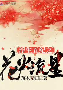 浮生五紀(jì)之花火流星
