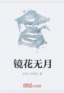鏡花無月