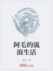 阿毛的流浪生活