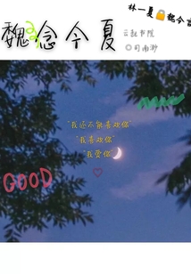 魏念今夏