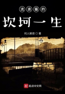 流浪貓的坎坷一生