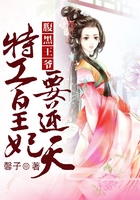 腹黑王爷,特工皇妃要逆天