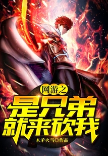 網游之是兄弟就來砍我