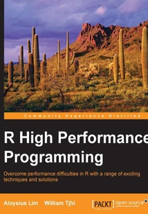 R High Performance Programming