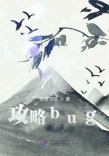 攻略bug