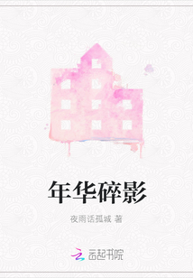 年華碎影