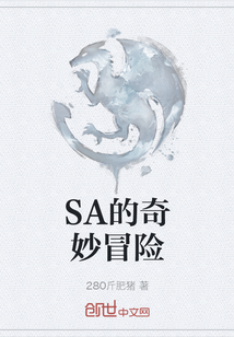 SA的奇妙冒險