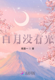 白月沒有光