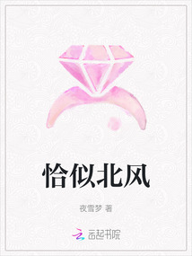 恰似北風