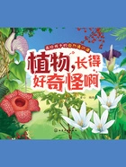 画给孩子的自然通识课:植物,长得好奇怪啊在线阅读